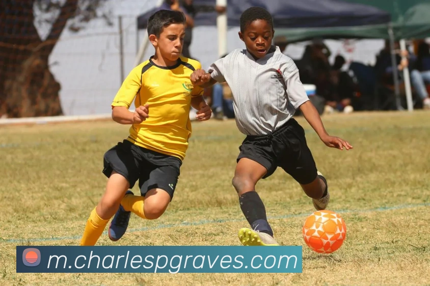 中欧在线平台服务体系